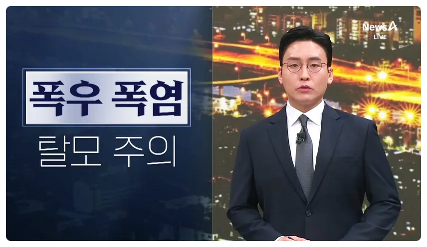 2026년 여름철 탈모 예방: 장마·폭염 두피 관리법 총정리