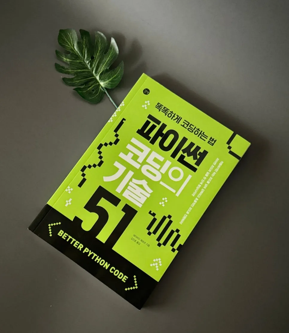 파이썬 코딩 기술 51가지: 중급 개발자를 위한 효율적인 코드 작성법 2026
