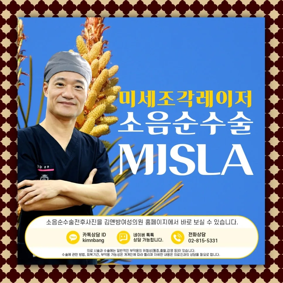 소음순 수술 보험 적용 여부 2026: 자가 부담금 총정리