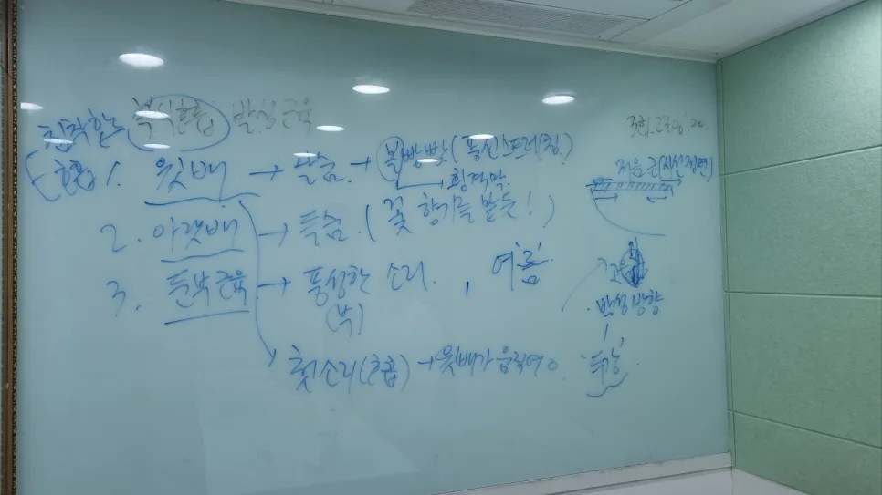 시낭송 스킬 향상: 복식호흡·발성·발음 교정 코칭 2026