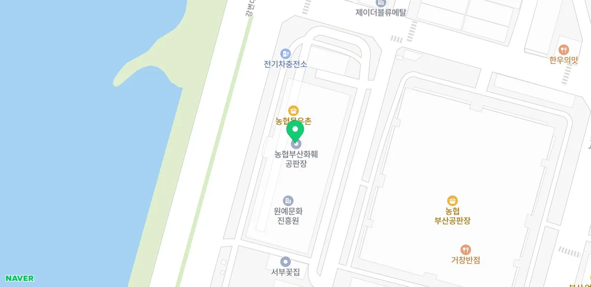 부산 화훼단지 꽃다발 가격 2026: 장미, 라넌큘러스 직접 구매 후기