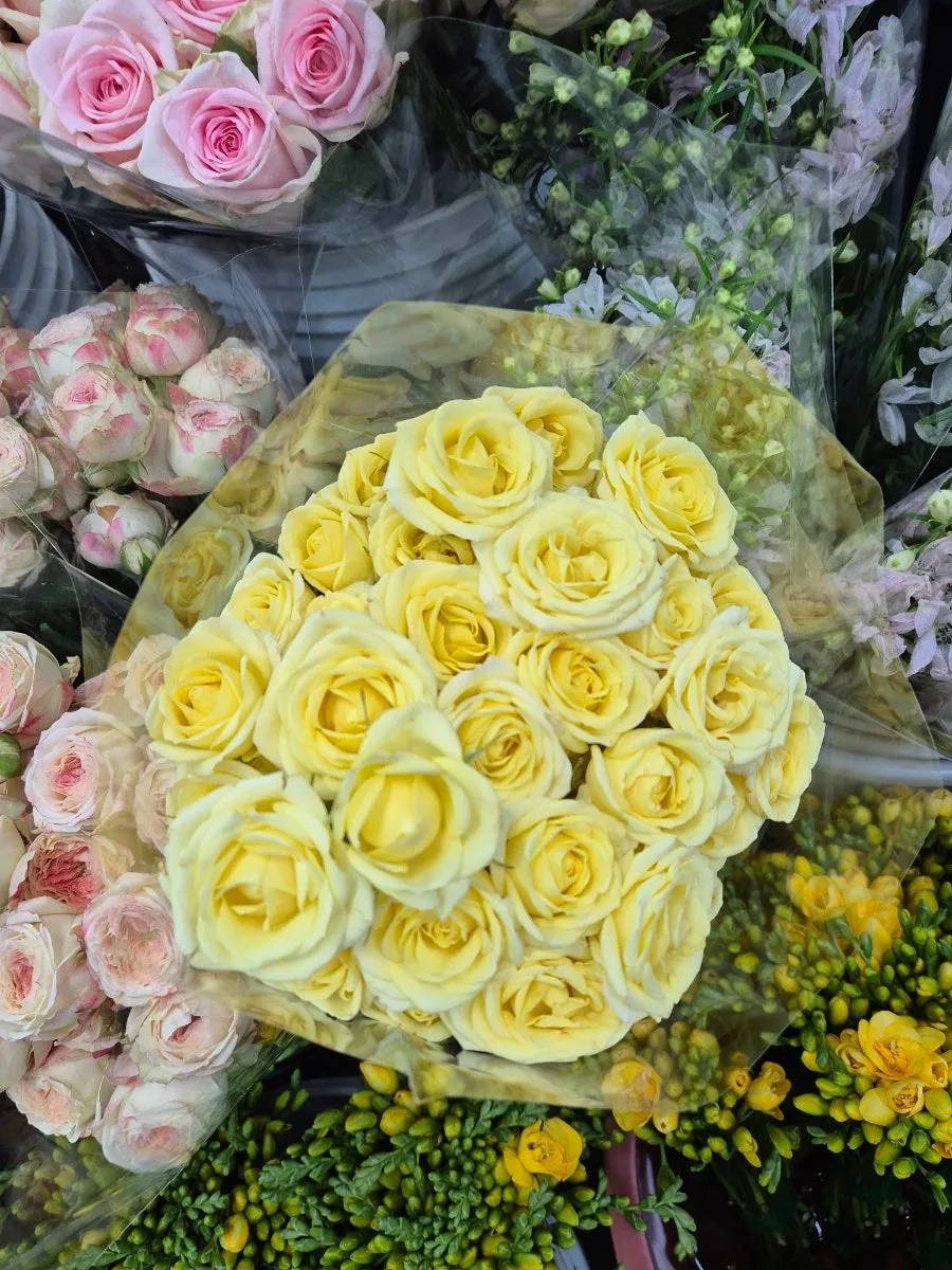 부산 화훼단지 꽃다발 가격 2026: 장미, 라넌큘러스 직접 구매 후기 3