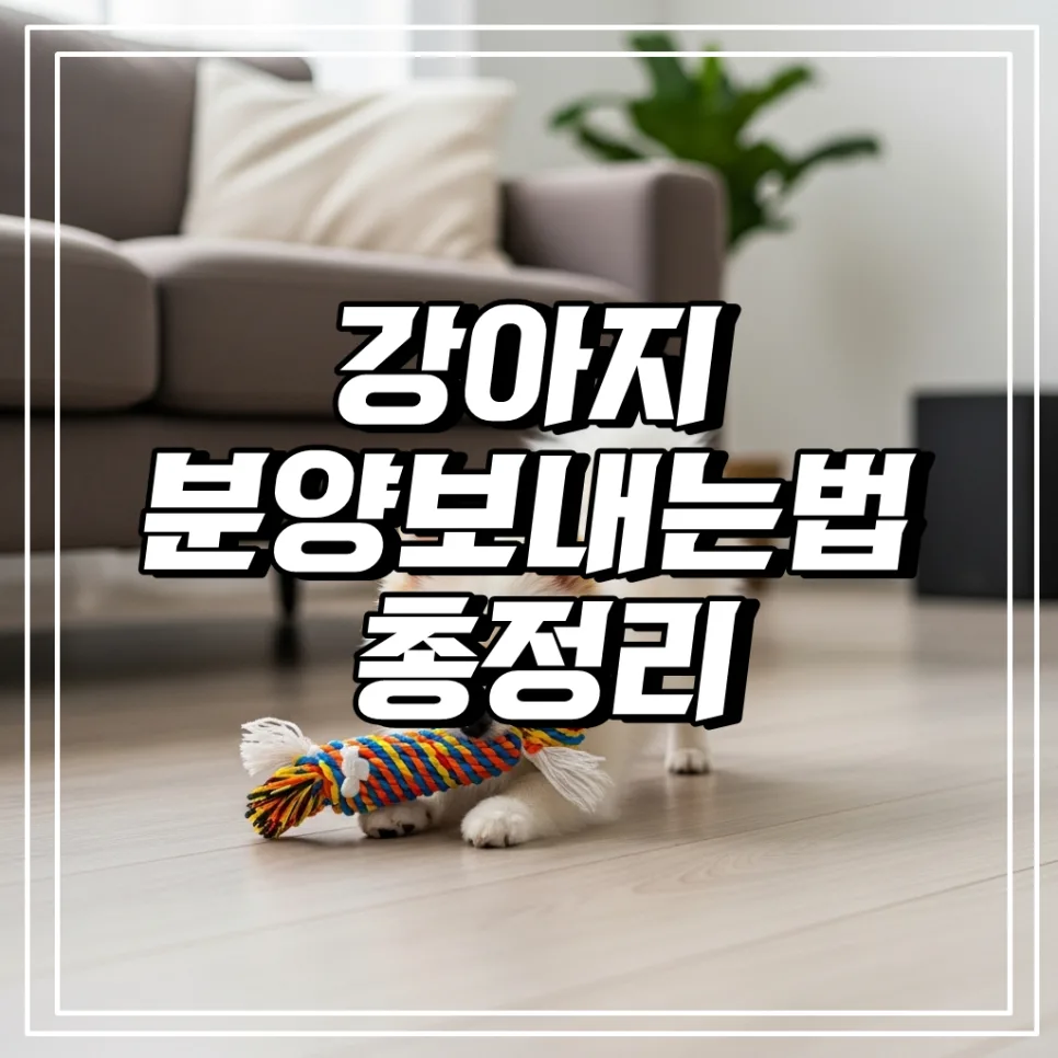 반려견 새 가족 찾기: 책임 분양 가이드 2026