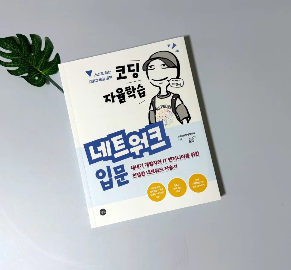 Essential Network Guide for Developers 2026: Master Coding Autodidactically