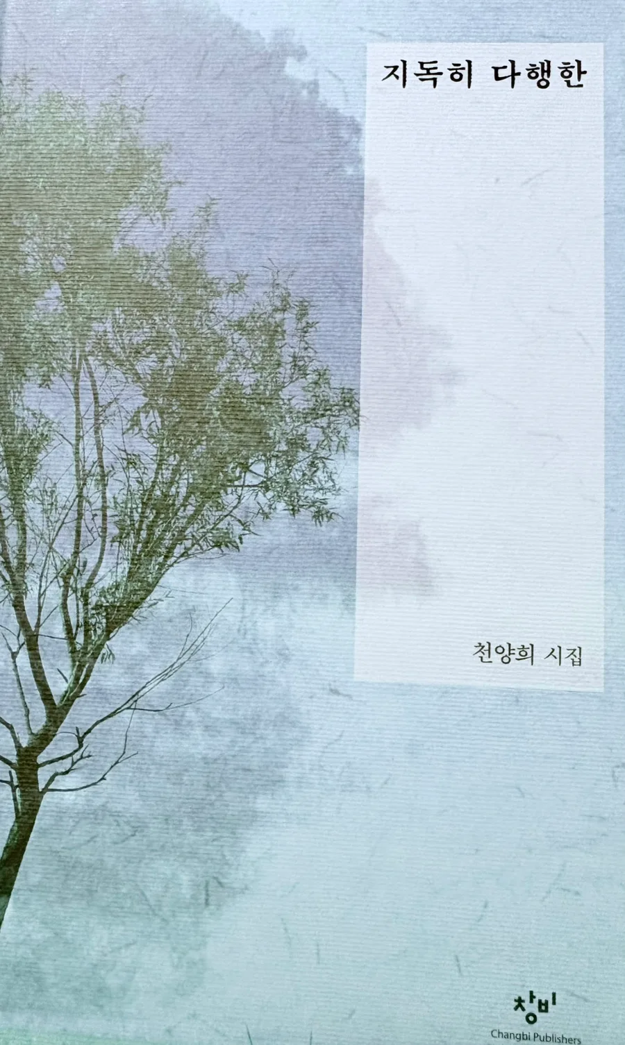 천양희 시 '집으로의 여행' 의미와 해석 2026년 총정리