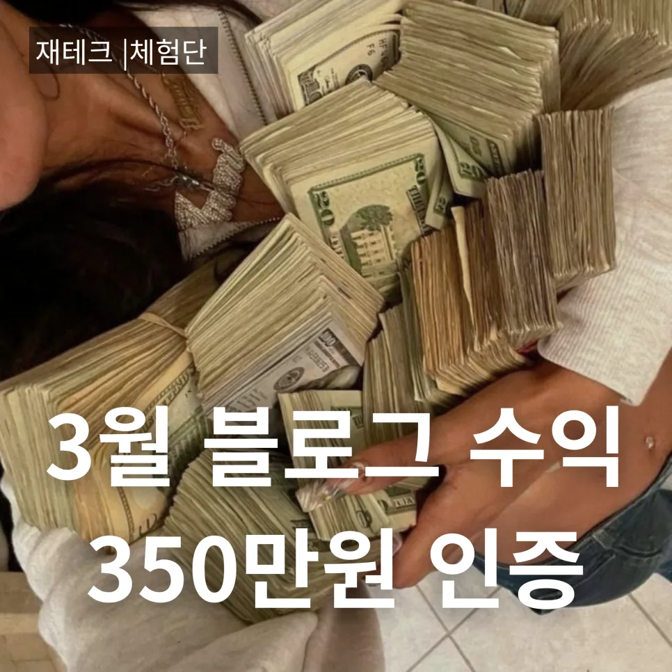 블로그 체험단 수익 2026년 3월, 350만원 달성 비결 공개