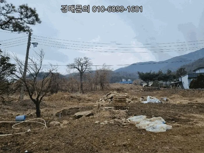 경기도 광주 토지 2026년 최저가 49% 낙찰 찬스: 성공 투자 전략