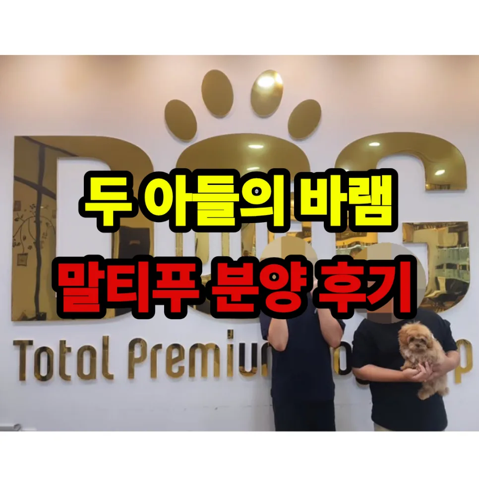 세종시 강아지 분양 2026: 믿음직한 원독 입양 후기 2