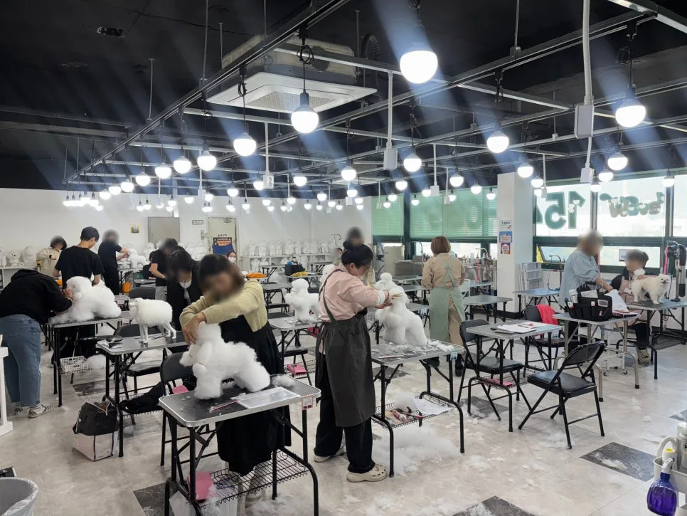 2026년 애견미용학원 선택 가이드: 창업 성공률 높이는 방법