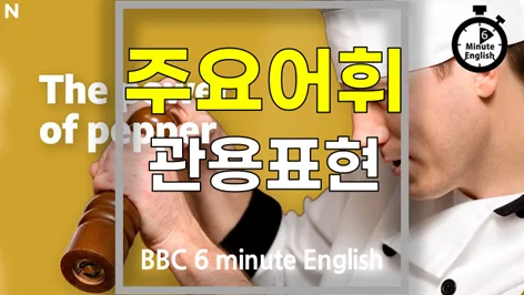 후추의 모든 것: 2026년까지 알아야 할 맛과 어휘 총정리