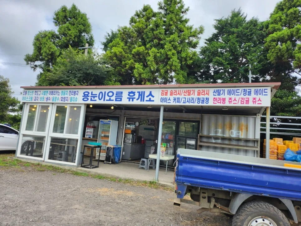 제주 용눈이 오름 & 소심한 책방: 추석 연휴 특별 나들이 코스 2026 3