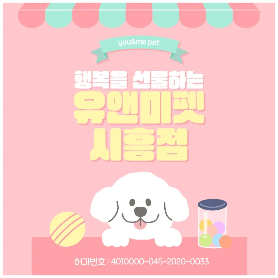 고양 비숑프리제 분양 2026: 유앤미펫 경험 기반 완벽 가이드 — 반려동물 — dbdosalvpt