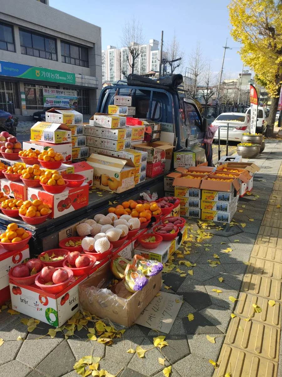 Haman Gaya Market 5-Day Market: Fall 2026 Guide