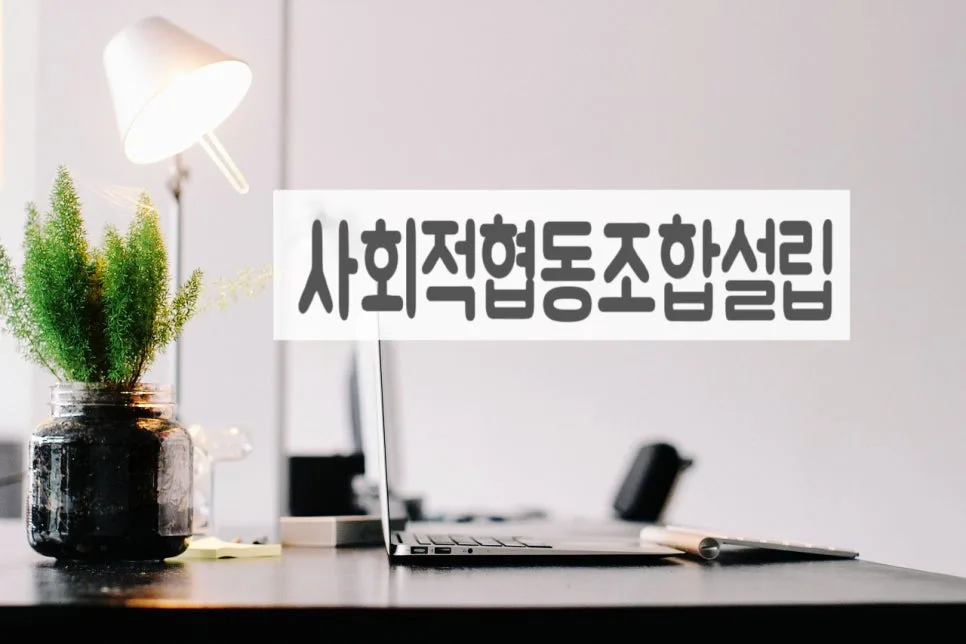 사회적협동조합 설립 절차와 운영 핵심 총정리 (2026년)