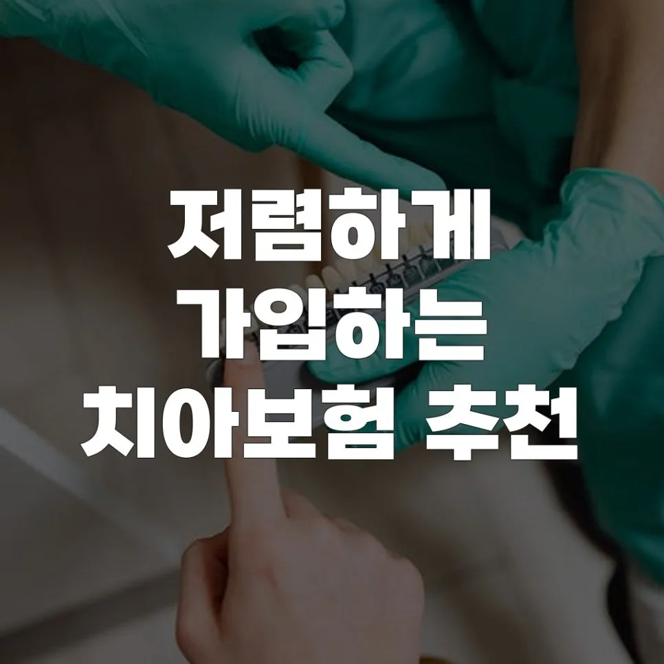 치아보험 2026년, 보장 범위 넓고 저렴한 상품 찾는 법