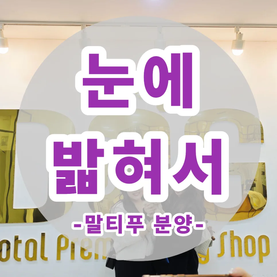 세종 말티푸 분양, 인연 찾은 보호자 스토리 2026
