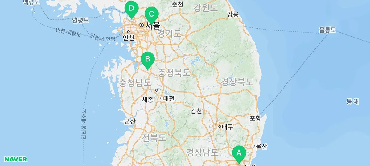친칠라 입양 전 필수 체크리스트 2026: 초보자를 위한 완벽 가이드
