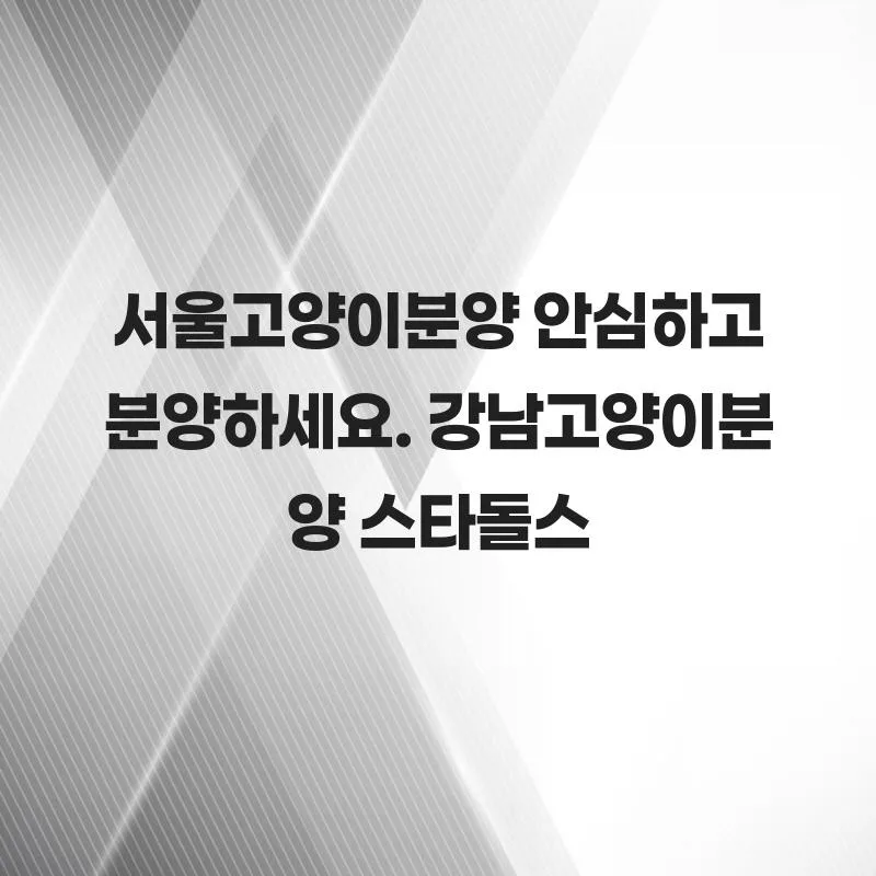 서울 고양이 분양 2026: 건강한 반려묘 찾는 법 (스타돌스 경험 기반)
