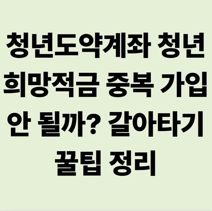 청년도약계좌 vs 희망적금, 중복 불가? 2026년 환승 가이드