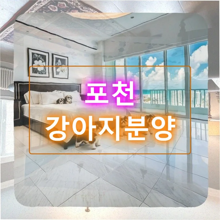 포천 강아지 분양, 새 가족 맞이 준비 완벽 가이드 2026