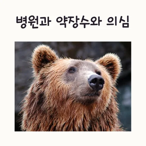 의심스러운 병원 경험 2026: 약장수 의사 구별법