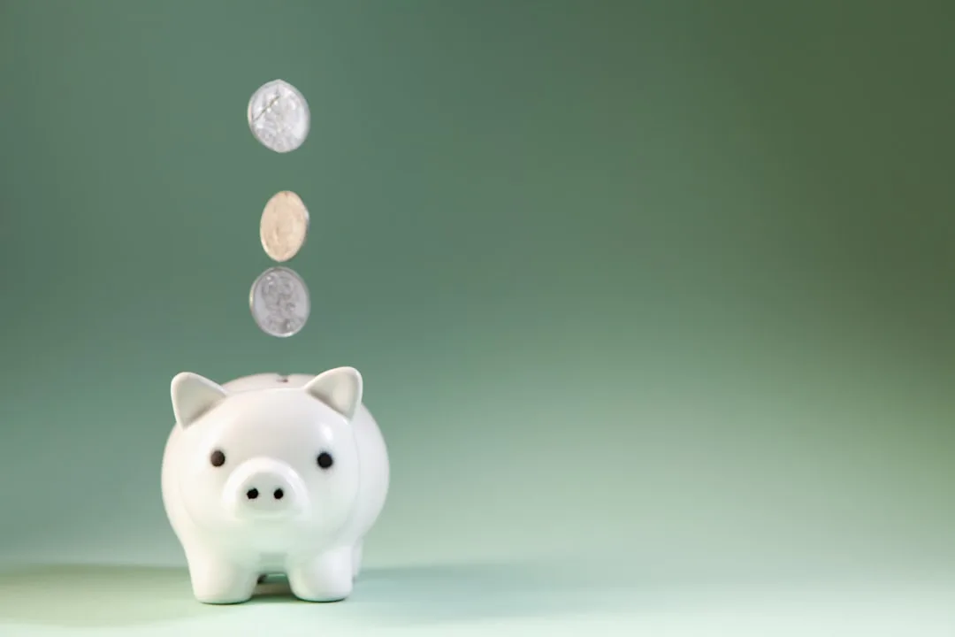IRP 계좌 월 3% 수익 비결 5가지 4