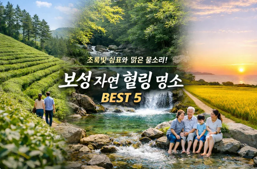 보성 힐링 여행 명소 BEST 5: 초록빛 자연 속 힐링 코스 2026