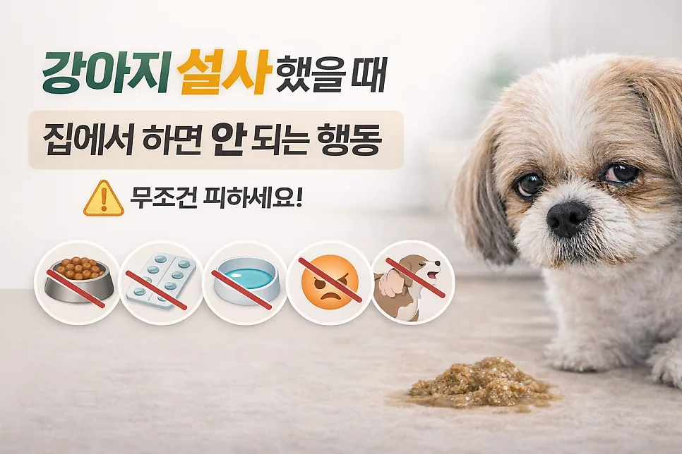 강아지 설사, 집에서 절대 금지 행동 5가지 (2026년 최신 정보)