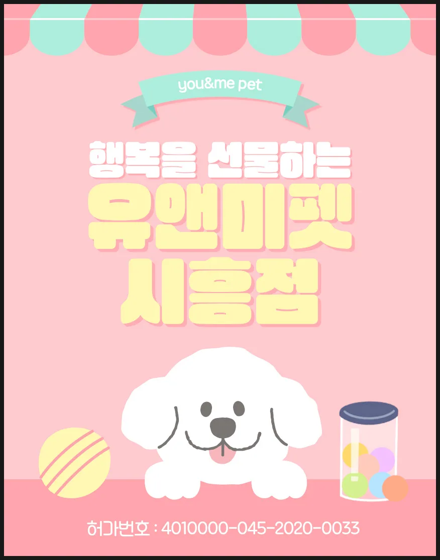 광명 포메라니안 분양 2026: 행복을 부르는 반려견 선택 가이드