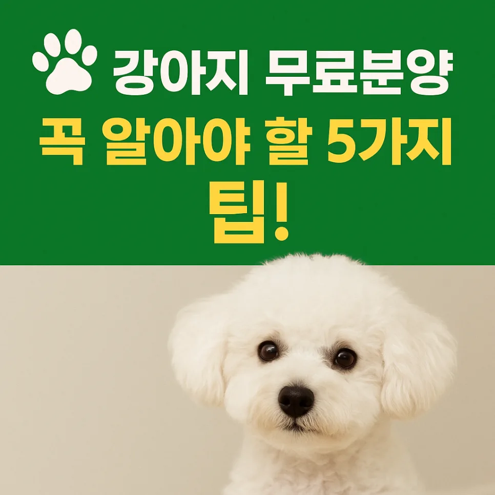 강아지 무료분양 2026: 책임감 있는 입양을 위한 5가지 필수 체크리스트