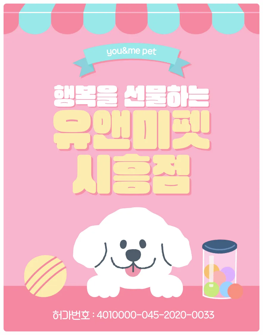 2026년 분당 토이푸들 분양, 유앤미펫 경험자 후기 및 핵심 체크리스트