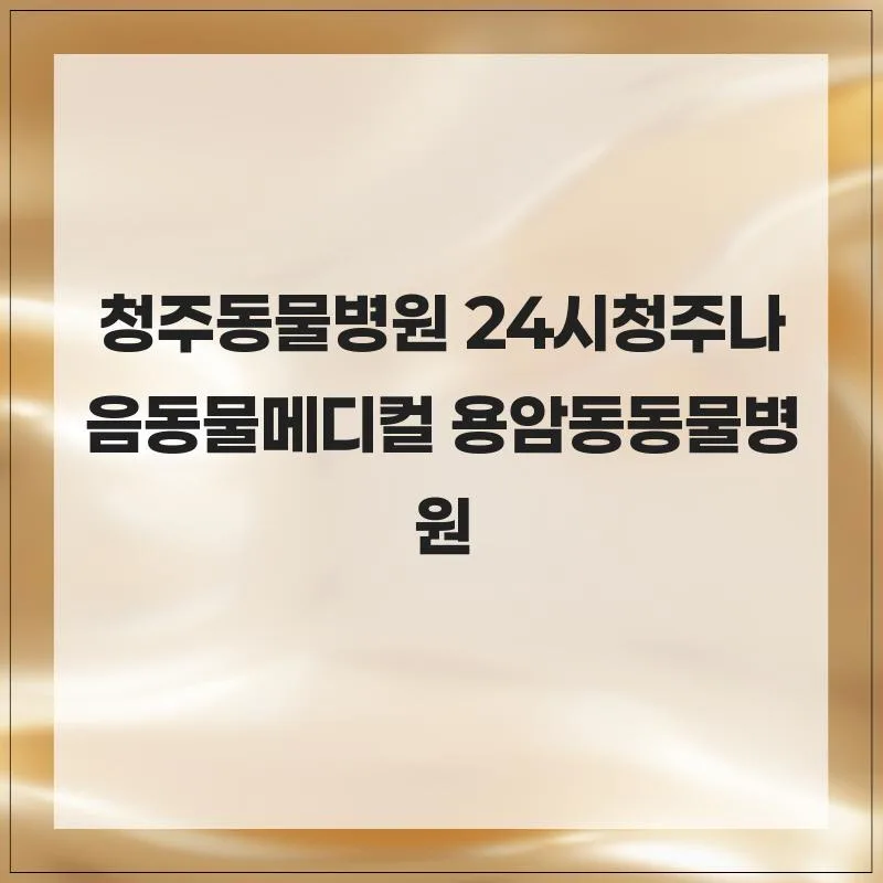 청주 24시 동물병원 추천: 나음동물메디컬 진료 경험 2026