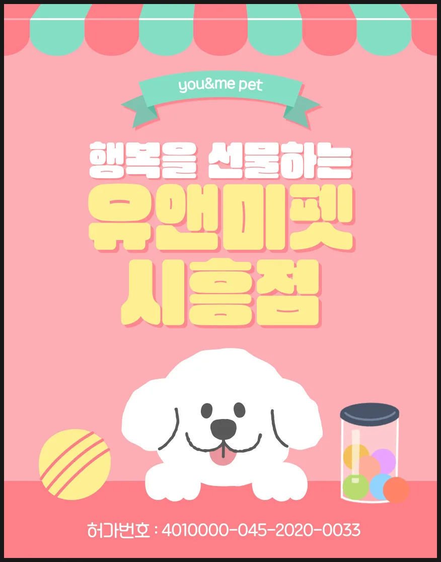 성남 비숑프리제 분양 2026: 유앤미펫 방문 후기 및 입양 팁 — 반려동물 — dbdosalvpt