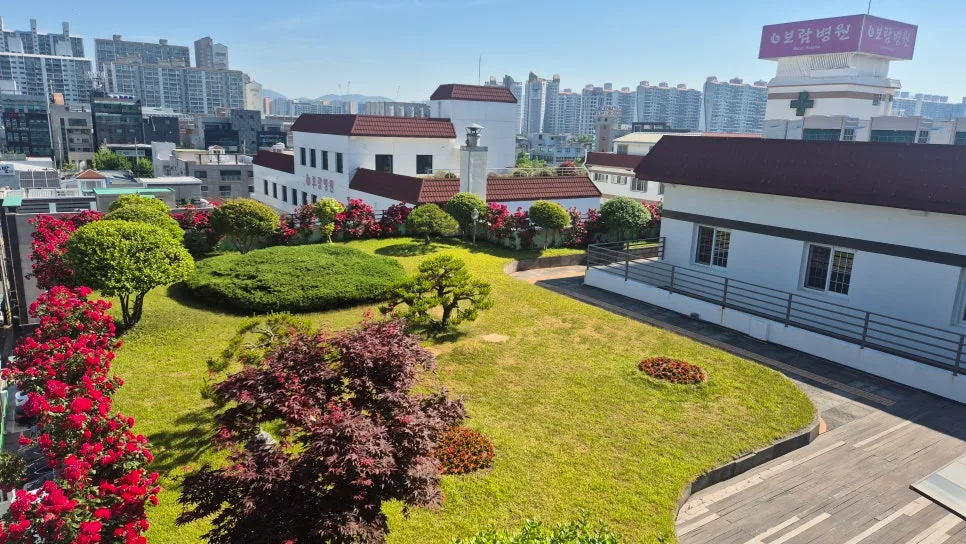 울산 산부인과 보람병원 장미 정원, 2026년 5월 만개 후기 2