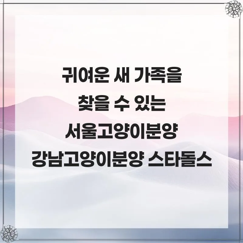 서울 고양이 분양 2026: 스타돌스에서 건강한 반려묘 찾는 법