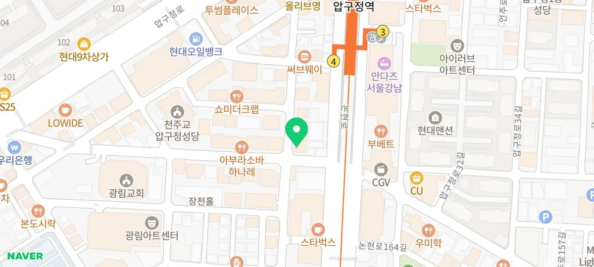 서울 고양이 분양 2026: 스타돌스에서 건강한 반려묘 찾는 법 3