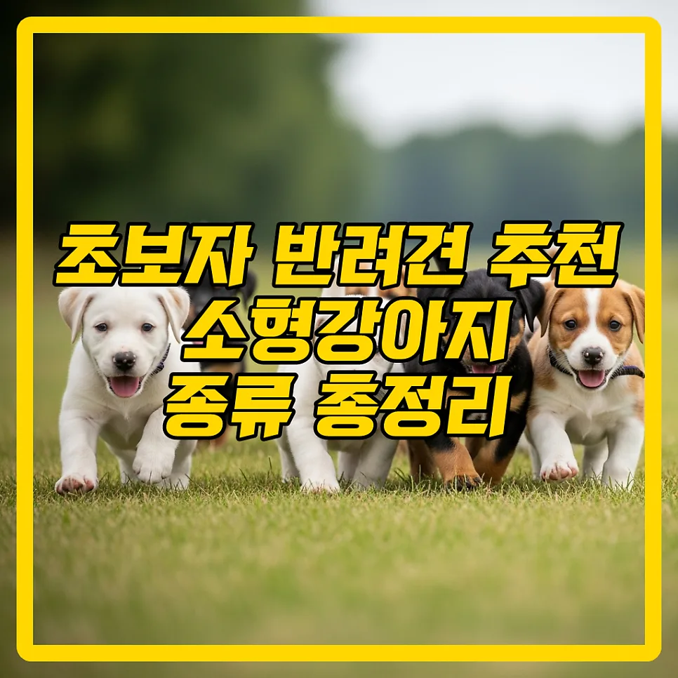 2026년 초보자도 키우기 쉬운 소형 강아지 종류 5가지 추천