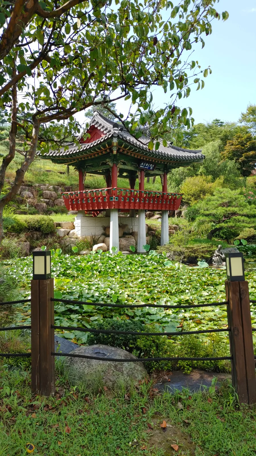 산청 동의보감촌 2026: 약초관부터 반달곰까지 완벽 가이드