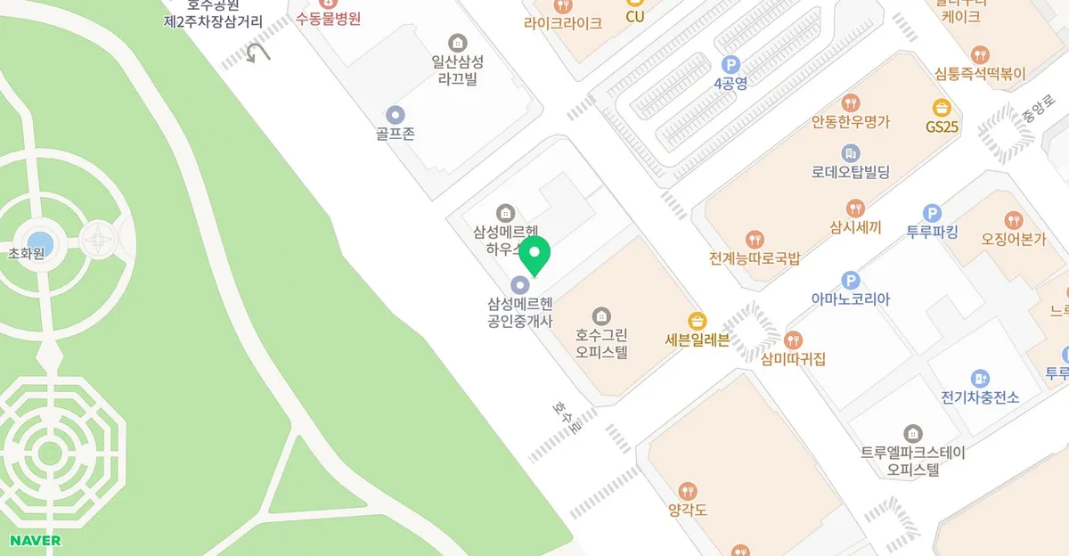 강아지 십자인대파열 수술, 동반 질환 시 우선순위 결정법 2026 2