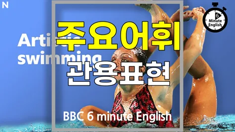 아티스틱 스위밍 영어 단어 2026: 6분영어 핵심 어휘 암기법