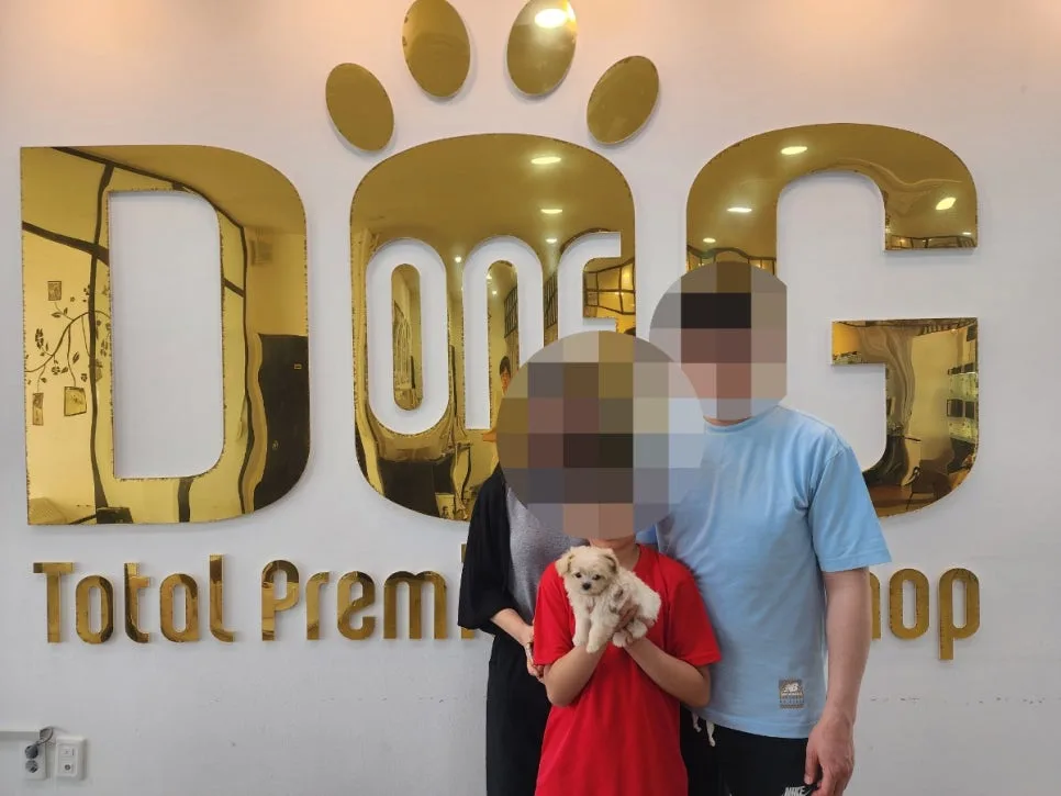 말티푸 분양 2026: 세종 원독 애견센터 입양 후기 및 장점 총정리 3