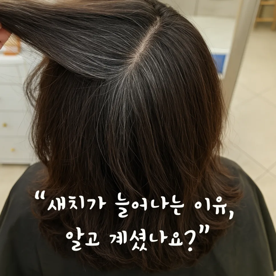 새치 줄이는 방법 2026: 스트레스, 식습관, 두피 관리 총정리