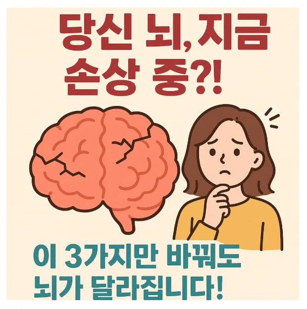 뇌 건강 지키는 방법 2026: 나쁜 습관 버리고 똑똑해지는 비결