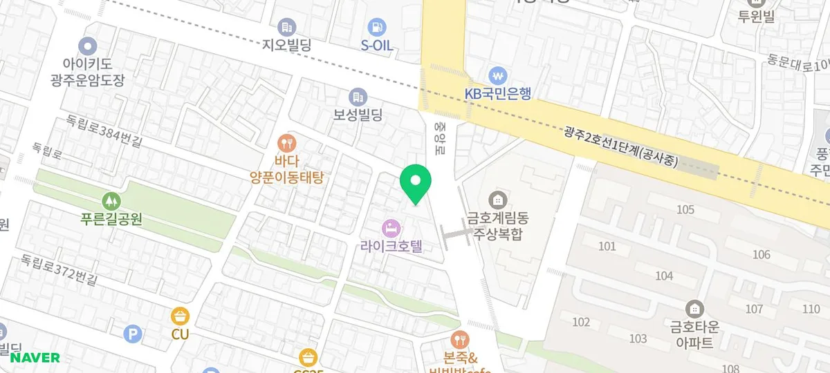 광주 강아지 분양 2026: 건강한 선택 위한 4단계 가이드 2