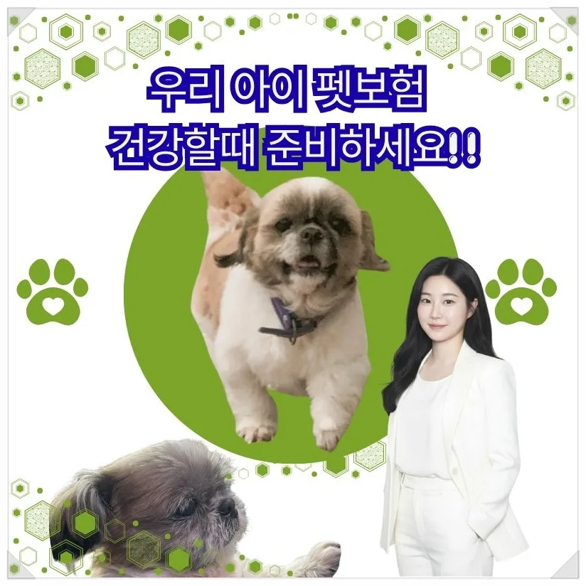 2026년 강아지 펫보험, A사 가입 후기 및 보장 분석