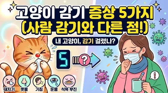 고양이 감기 증상 5가지와 사람과 다른 점 (2026년 최신 정보)