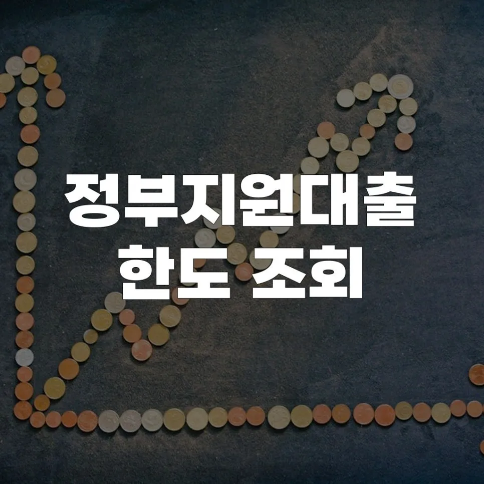 정부지원대출 한도, 2026년 최신 조회 방법 총정리