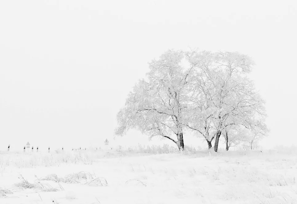 Mastering Snow English: Essential Winter Phrases for 2026