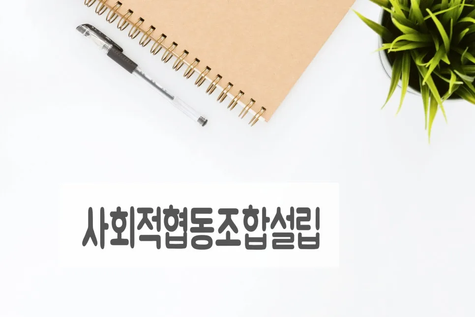 사회적협동조합 설립 인가 절차 2026: 신청 방법 총정리
