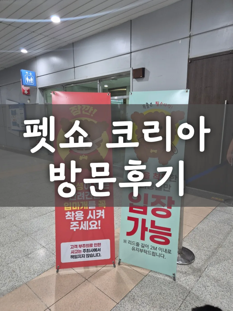 2026 펫쇼코리아 일산 방문, 반려견 동반 꿀팁과 후기